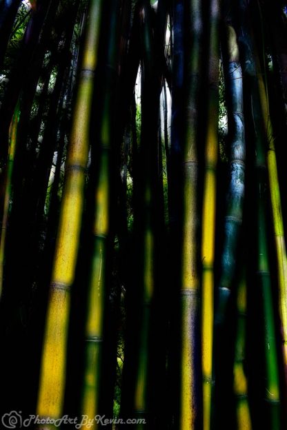 Ethereal Bamboo Jungle