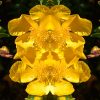 Yellow Flower Full