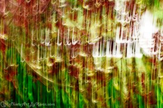 Red Yellow Green Part2 Abstract Plants Flowers
