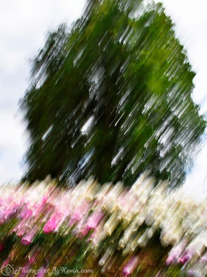 Tree and Flowers Photo Art