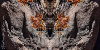 Dark Spirits of the Lichen
