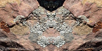 Pictographic Lichen Art