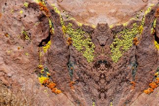 Ethnographic Rock Lichen Art