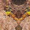 Lichen Sideburns