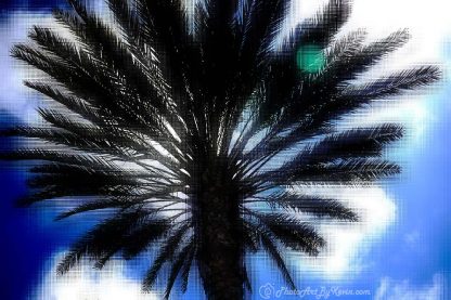 Palm Q. Linen Tree