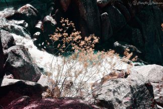 Waterfall Magic Leaves